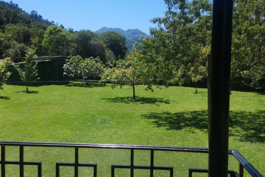 La Casina Sevares